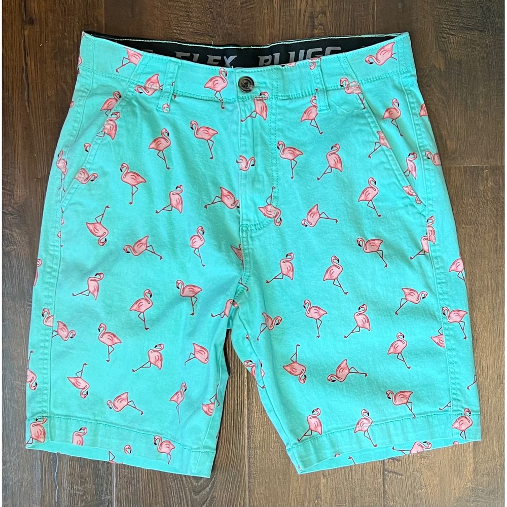 Plugg Flex Mens Flamingo Print Turquoise Flat Front Shorts Size 29  Summer